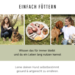 EINFACH FÜTTERN - Reinfleischdose